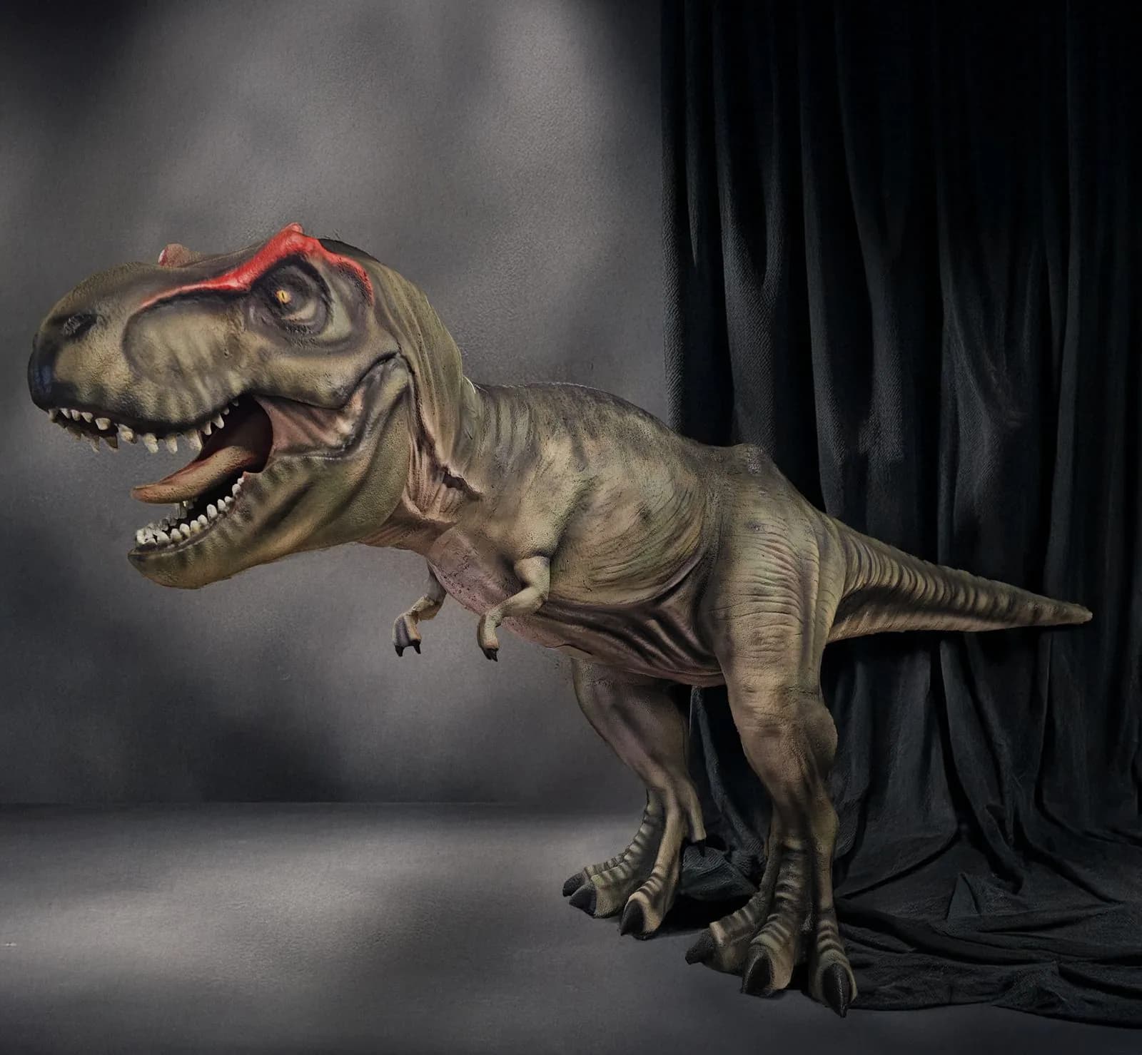 DIGIZOO 3, Ramazan Eroğlu