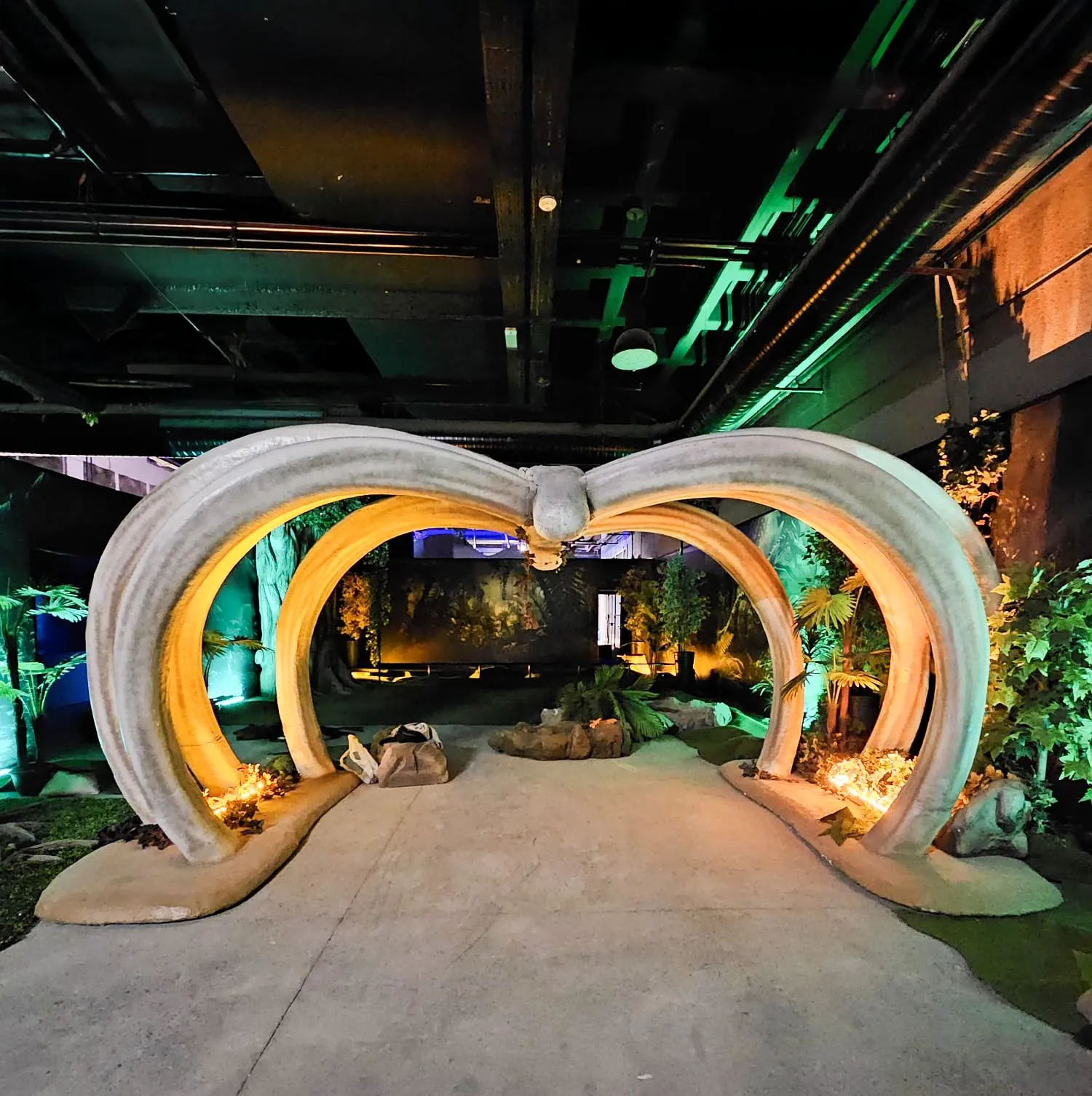 DIGIZOO 5, Ramazan Eroğlu