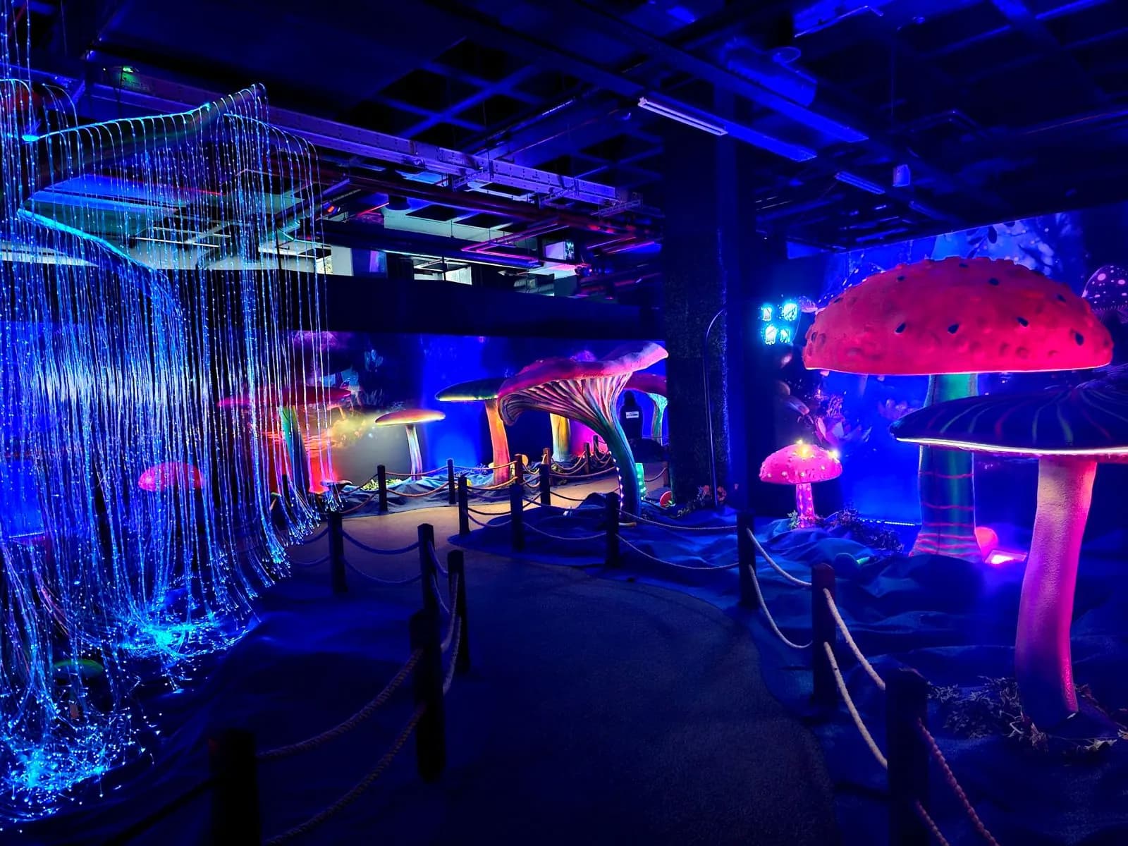 DIGIZOO, Ramazan Eroğlu